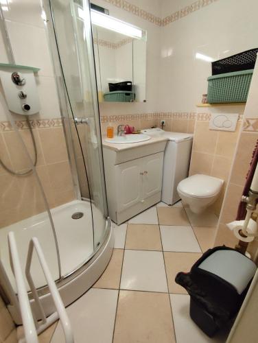 une salle de bain avec une douche, des toilettes et un lavabo dans l'établissement Appartement 6 personnes au pied des pistes, à La Plagne Tarentaise