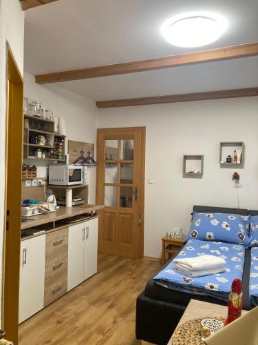 a small room with a bed and a kitchen at Penzion Na Habeši in Kašperské Hory