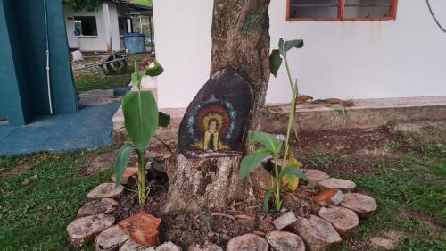 El Rancho Dにある庭