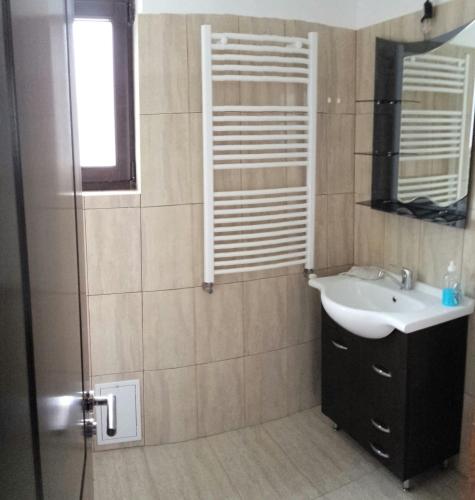 a bathroom with a sink and a shower at Pensiunea Zina in Tisău
