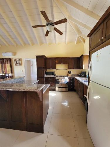Кухня или мини-кухня в Luxury Villa, Cades Bay, Nevis - Villa Tranquil
