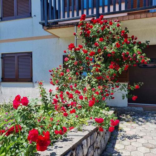 a bunch of red flowers in front of a building at Holiday home in Lokve, Croatia 47707 in Lokve