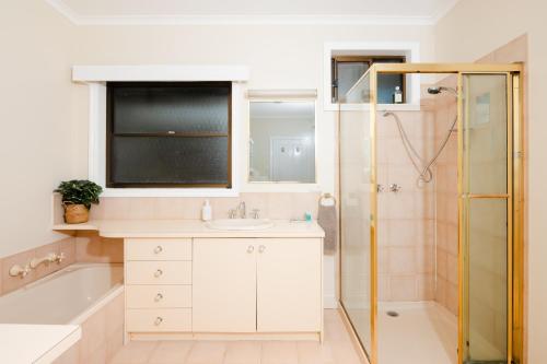un bagno con lavandino e doccia di Bristol Hill Motor Inn a Maryborough