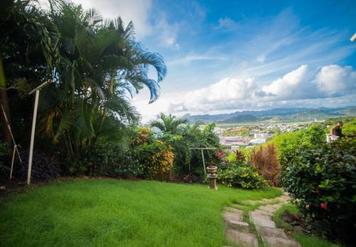 a garden with a green lawn and a palm tree at Buena Vista SLC in Vieux Fort