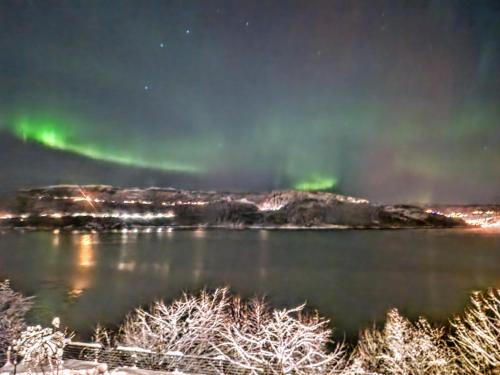 an aurora over a body of water at night at Bergen sunrise Apartment - self check in - Free Parking in Bergen