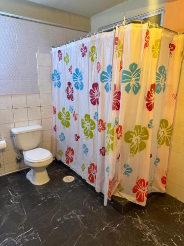 a bathroom with a toilet and a shower curtain at Económicas Habitaciones Privadas Cerca de Playa in Arica
