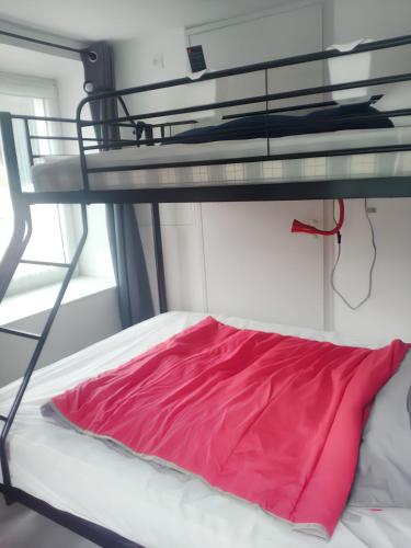 - une chambre avec des lits superposés et un oreiller rose dans l'établissement Appartement moderne à Cornimont 30 m² avec vue montagne, à Cornimont
