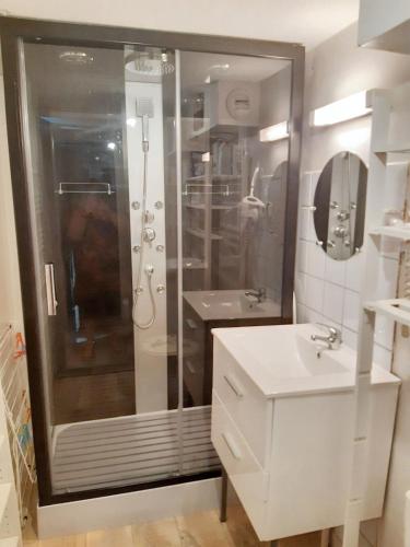 une salle de bain avec douche et lavabo dans l'établissement Appartement moderne à Cornimont 30 m² avec vue montagne, à Cornimont