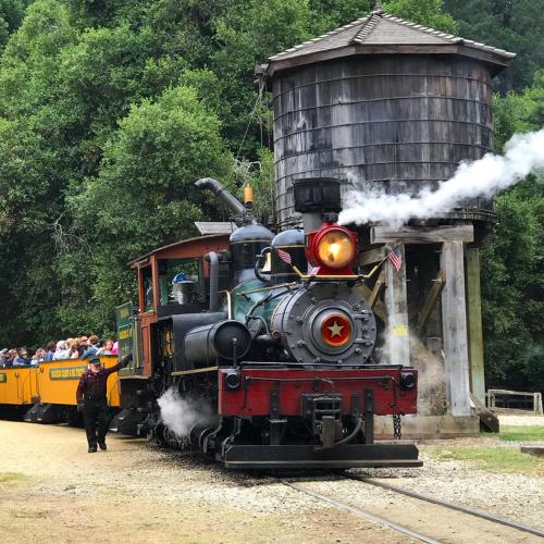 a steam engine train traveling down the tracks at Evergreen Escape in Felton