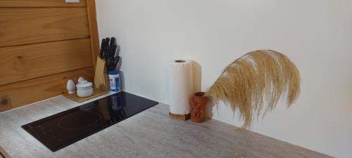 a kitchen counter with a roll of paper towels and a plant at Tongariro Estate in National Park