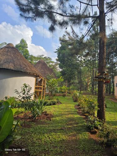 Zahrada ubytování BN Private Beach & Resort - Jinja