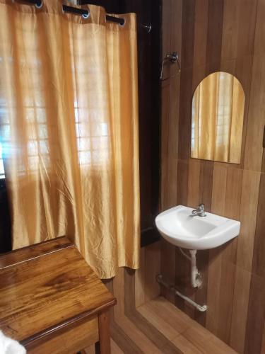 a bathroom with a sink and a shower curtain at Kailasahomestay & Ayurvedic Spa in Pūvār