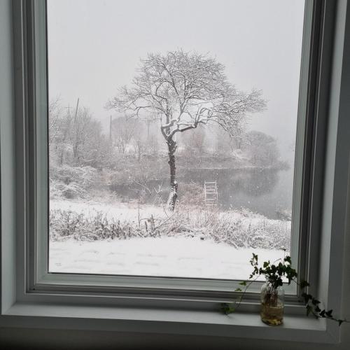 a window with a view of a tree in the snow at Cheongna Stay in Sŏch'on