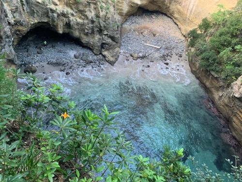 a pool of water in a river next to some plants at HealingDragon Ryugu cottage in Shimoda