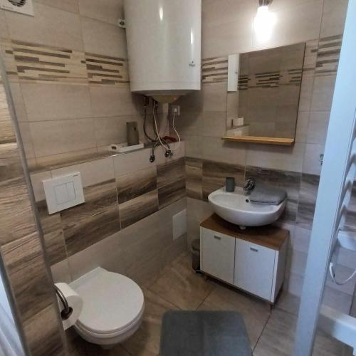 a bathroom with a toilet and a sink at Boglárka Horgásznyaraló in Gyomaendrőd