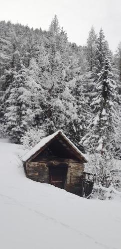 a log cabin in the snow in front of a forest at Laimbruchhof Apartments Urlaub auf dem Bauernhof in Val di Vizze