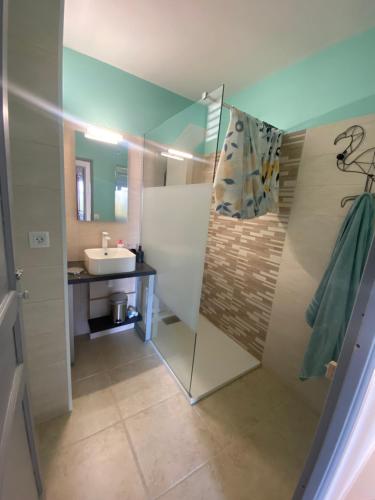 Un baño con ducha de cristal y lavabo. en Villa des 14 oliviers Piscine et Spa, en Le Luc