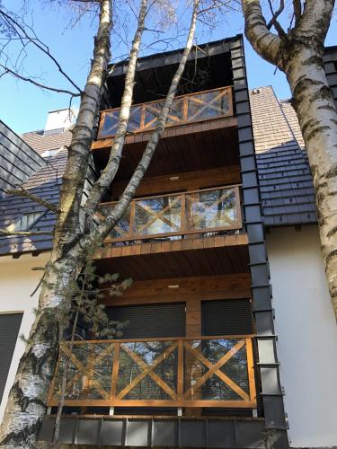 a house with a tree in front of it at Apartman Green Divčigora in Divčibare