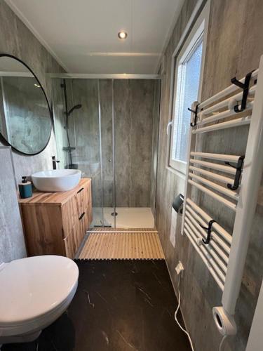 a bathroom with a sink and a toilet and a mirror at Villa Hutspot in Haarle