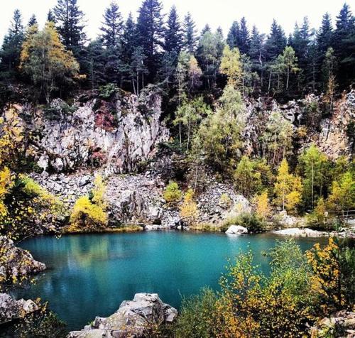 a blue lake in the middle of a forest at Chalet Grenouille in Champclause