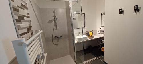baño pequeño con ducha y lavamanos en Le Fournil de Douasse, en Puycalvel Lautrec