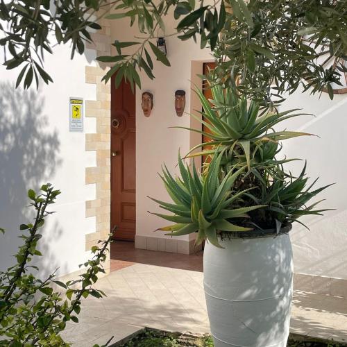 a large white vase with plants in front of a door at Le Case Al Quadrato Residence in Siracusa