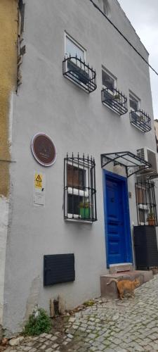 a cat standing in front of a building with a blue door at aj konukevi müstakil ev dört odalı in Ayvalık