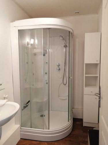 une douche avec une porte vitrée dans une salle de bain dans l'établissement Gite à la ferme, à Pierrefiche