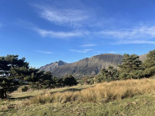 a field with trees and mountains in the background at La Rose des Vents in Saint-Bonnet-en-Champsaur