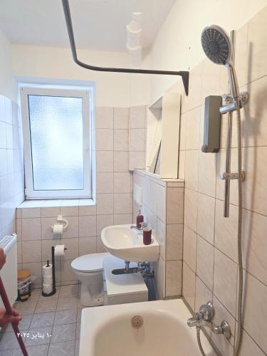 une salle de bain avec un lavabo, des toilettes et une douche dans l'établissement Komplette 2-Zimmer Wohnung, à Nuremberg