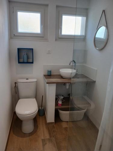 La salle de bains est pourvue de toilettes, d'un lavabo et de 2 fenêtres. dans l'établissement Gîte les Rougets, à Narbonne
