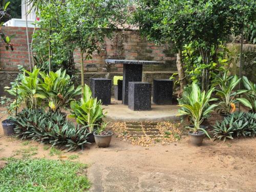 a garden with plants in front of a brick wall at Lazy Bear Best Hostel in Kandy in Kandy
