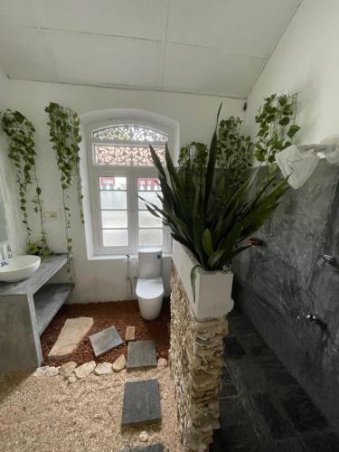 a bathroom with a toilet and a sink and a plant at Sudu Colonial House 1929 in Ambalangoda