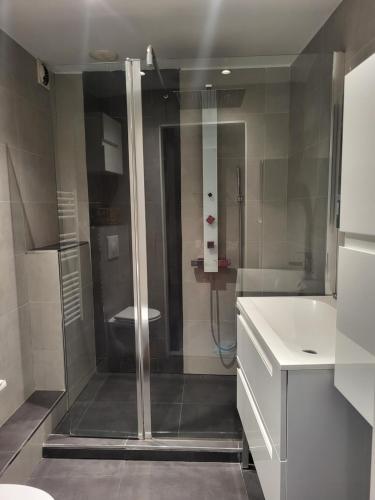 une salle de bain avec une douche, un lavabo et des toilettes dans l'établissement Maison entre mer et montagnes, à La Gaude