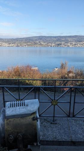 a bench sitting next to a body of water at Lovely 2-bed Suite, Swimmingpool, beach and Boat in Horgen