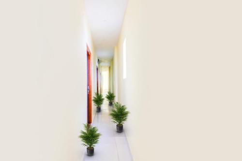 Gambar di galeri bagi Hotel O Jvs Hotel di Visakhapatnam