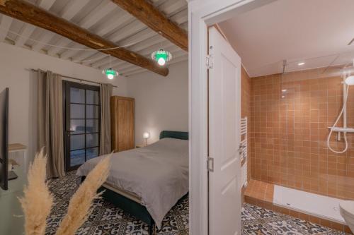 une chambre avec un lit et une douche à l'italienne dans l'établissement Appartement Belle Lettre 2, à Aix-en-Provence