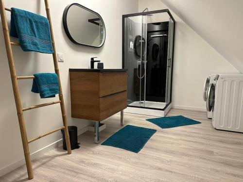 une salle de bain avec un lavabo et une douche avec un miroir dans l'établissement Maison tout confort 2 chambres, à Saint-Pierre-de-Varengeville