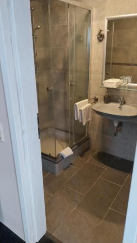 a bathroom with a shower and a sink at Hotel & Restaurant - Zum Schleicher Kuckuck in Schleich