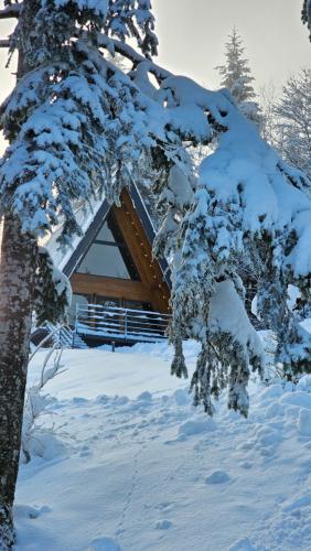 Gorska bajka - Borovica, planinska kuća za odmor i wellness