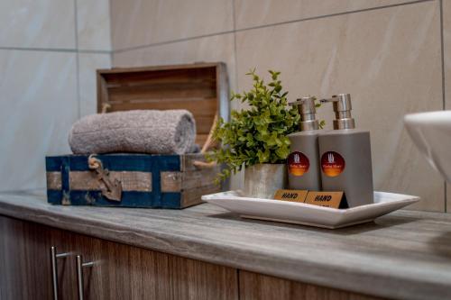 a bathroom counter with two bottles of soap and a box at Meerkat Manor Self-Catering & Accommodation Windhoek in Windhoek