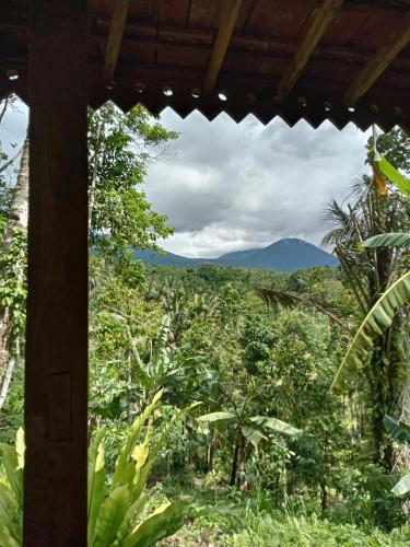 Una vista de una plantación de plátanos desde una casa. en duegoal farmhouse, en Jatiluwih