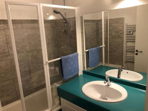 une salle de bain avec un lavabo et une douche dans l'établissement **Appartement T3 skis aux pieds avec balcon, parking et ski-casier, idéal pour skieurs !** - FR-1-513-18, à La Tania