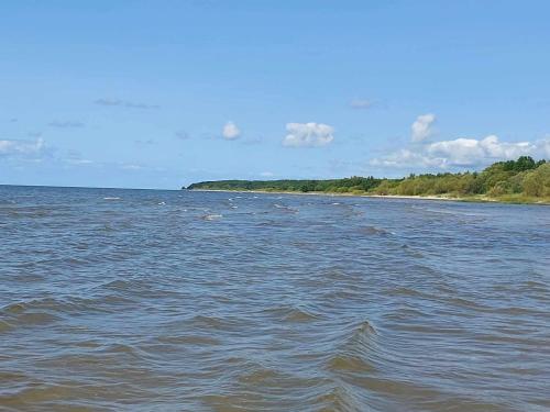 a large body of water with a beach in the distance at Treimani Hoovimaja in Treimani