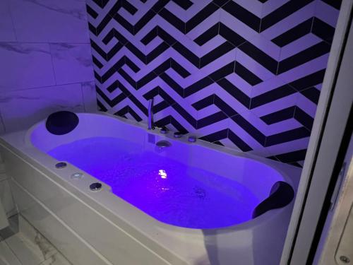 ROMEO 300 m du lac jacuzzi garage