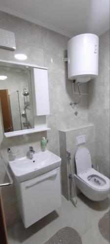 Ένα μπάνιο στο Apartman Ilidža