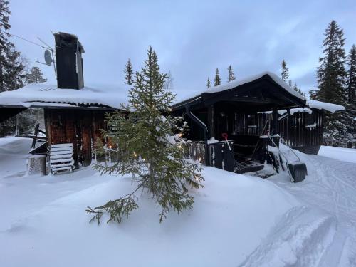 a snow covered cabin with a tree in front of it at Åre, Trillevallen stuga Privaten in Undersåker