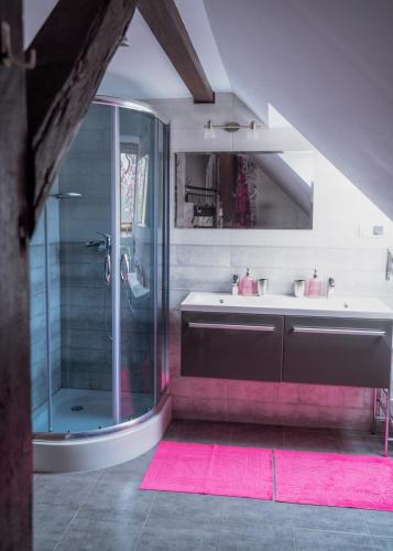a bathroom with a glass shower and a sink at Apartament Agro&Art in Płocin