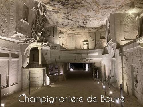 Fotografie z fotogalerie ubytování Aucun supplément, L'Harmonie, 15 min du Zoo v destinaci Meusnes