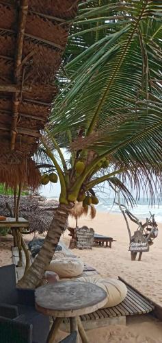 a beach with a palm tree and tables and chairs at Cinnabar Resort in Tangalle